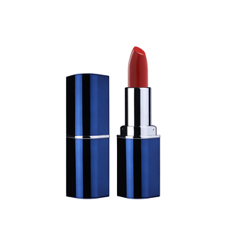 MOIST LIPSTICK 06 LIGHT MAROON